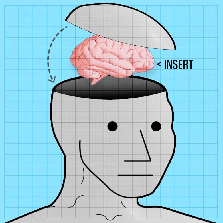 NPC Insert Brain Meme