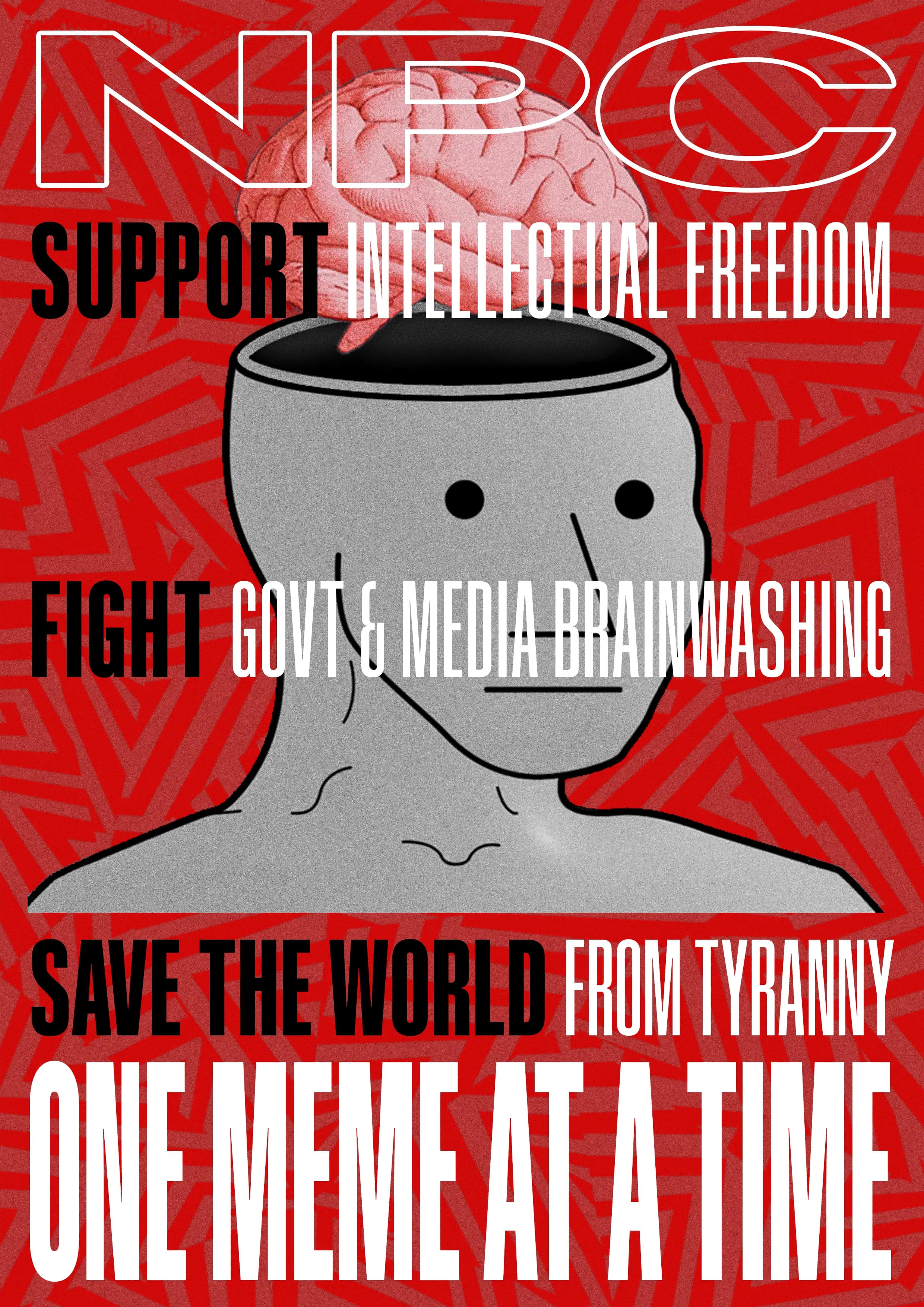 NPC Gov Meme