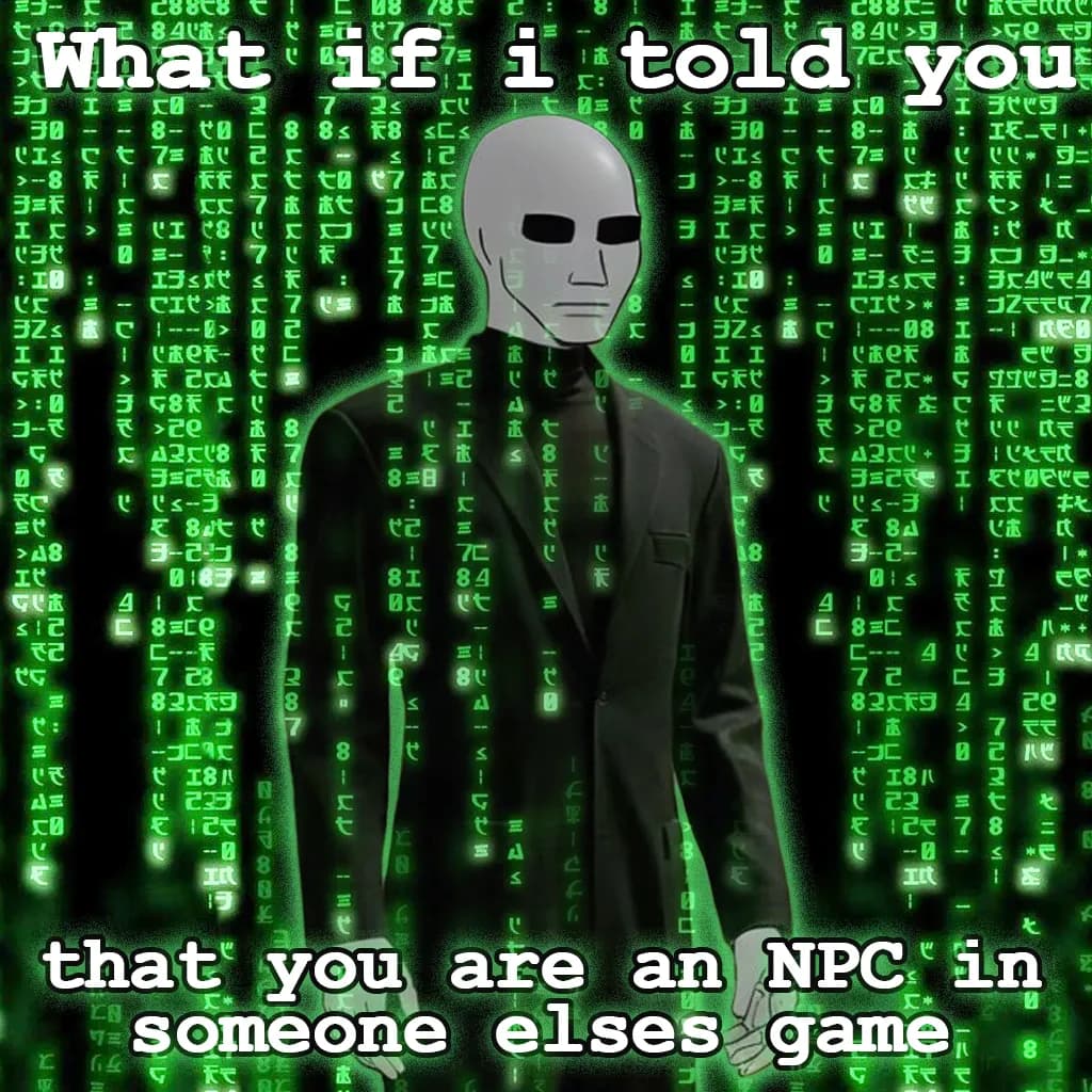 NPC Matrix Game Meme