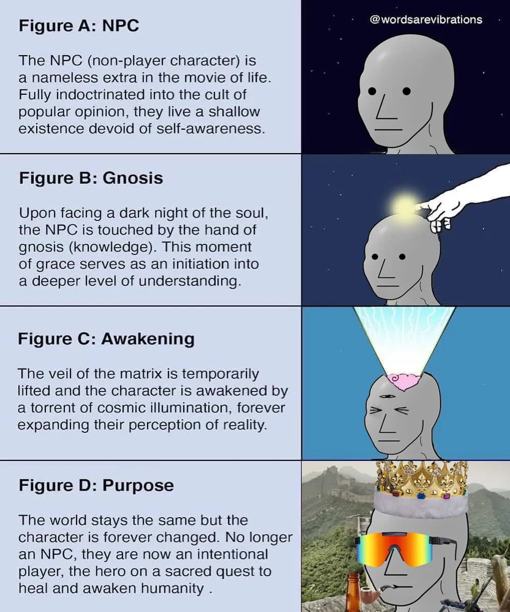 NPC Mogged Meme