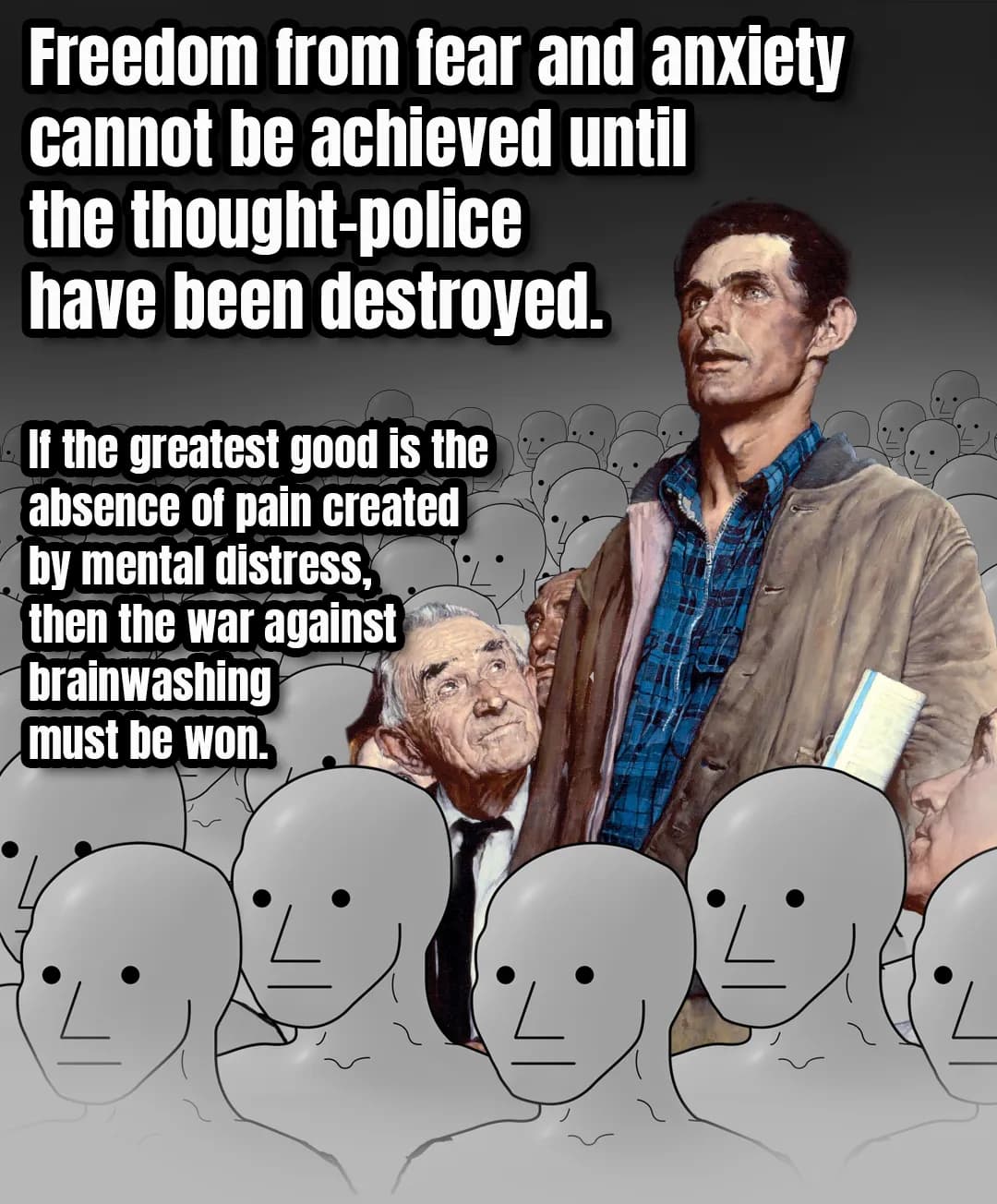 NPC Propaganda Meme