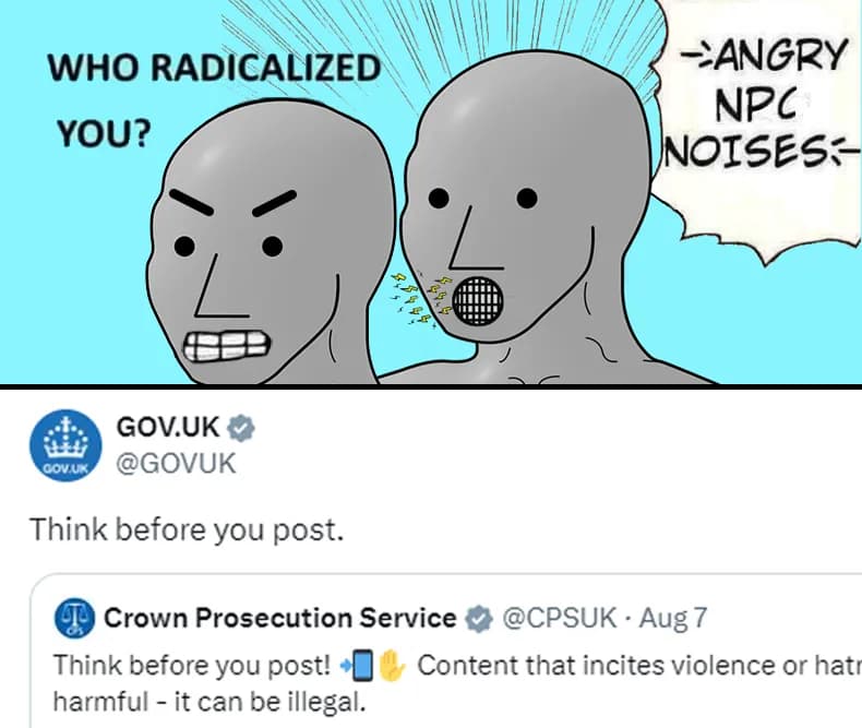 NPC Radical Meme