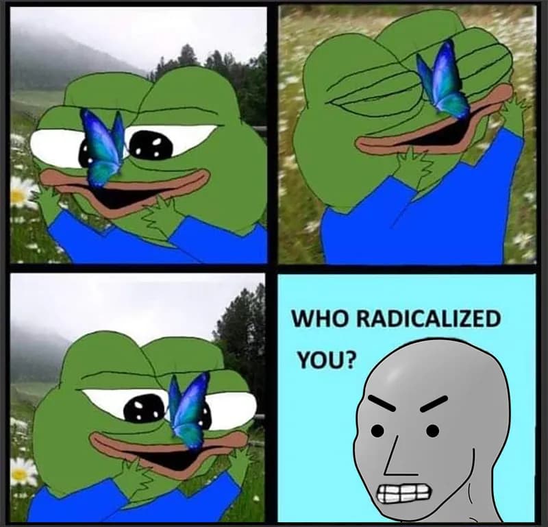 NPC Radicalized Meme