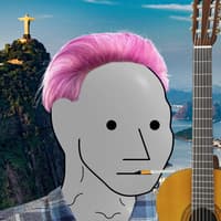 NPC meme 14