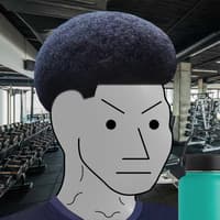 NPC meme 9